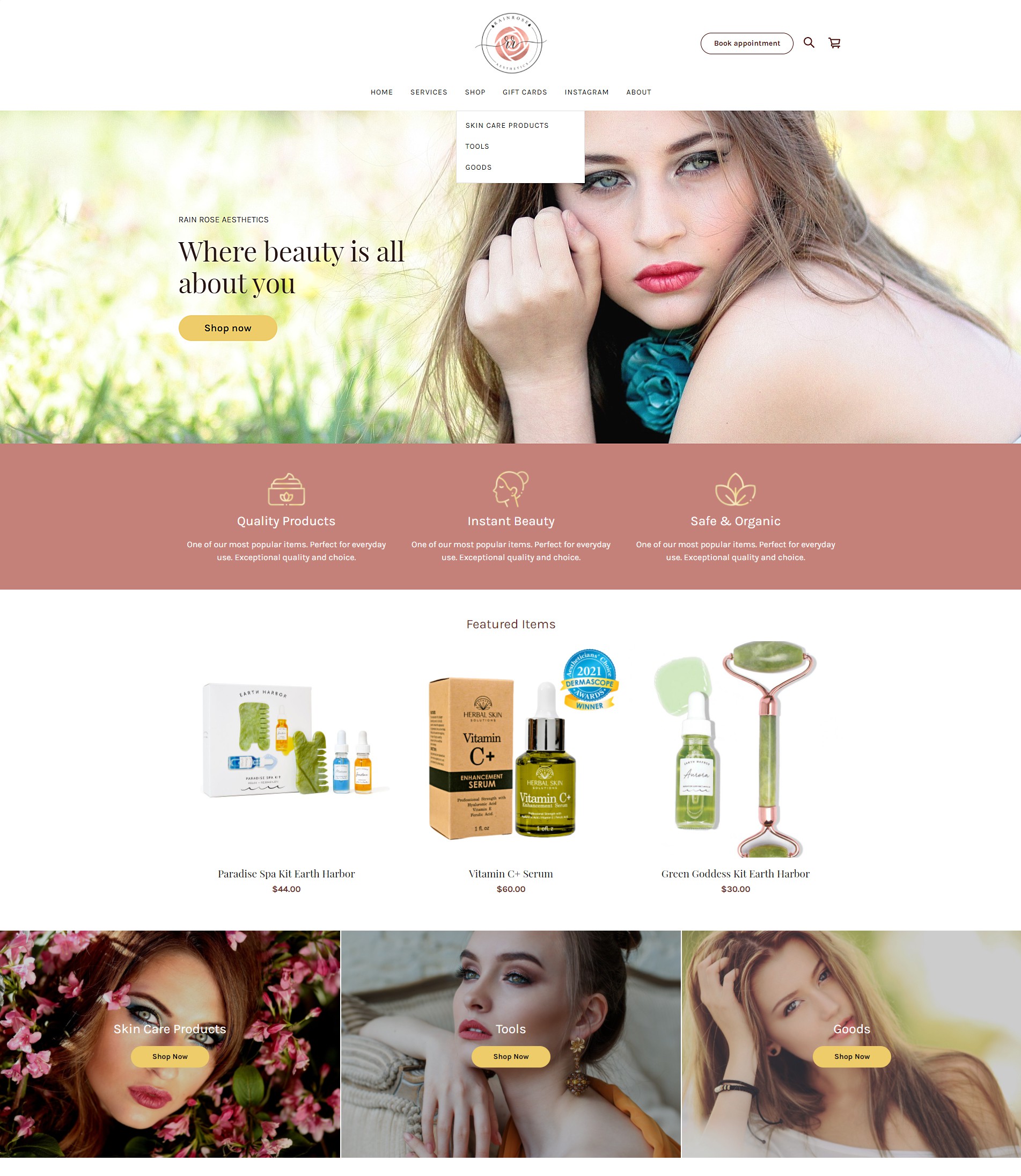 skin care studio with 2 locations needs web site help