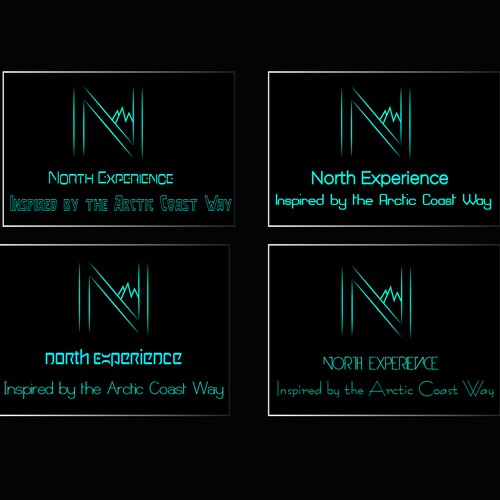 logo for north experience