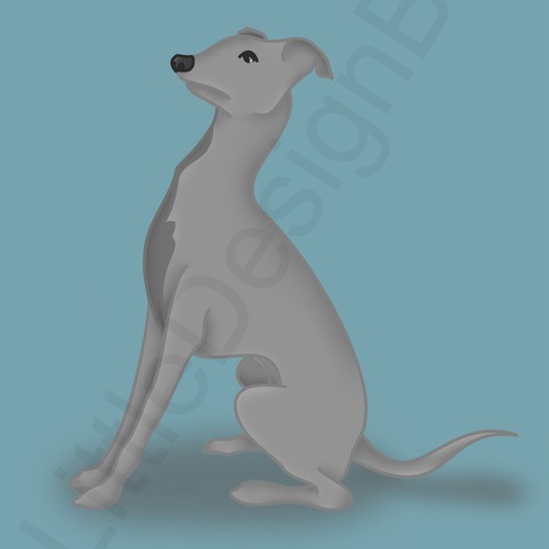 Italian Greyhound Illustration For Apparel Company