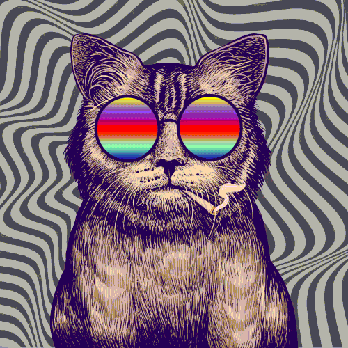 Psychedelic Cats