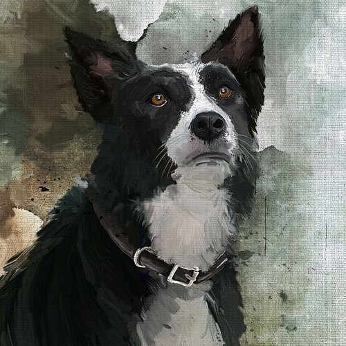 Dog stylized picture