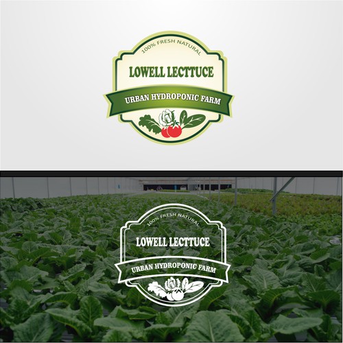 Logo concept for lowell lectucce