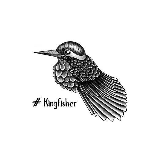 Kingfisher Illustration 
