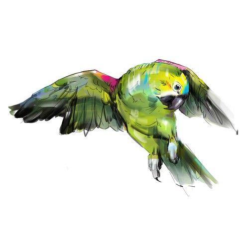 Boyfriend needs to wow girlfriend with stunning artists rendering of her Amazon Parrot.