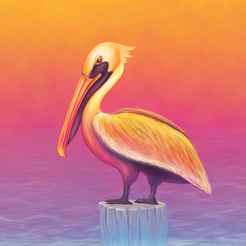 Pelican Illustration for Envelope Design