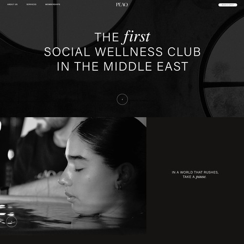 PEAQWellness Web Development