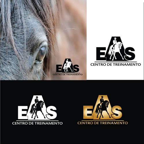 SOLD - LOGO for equine training center