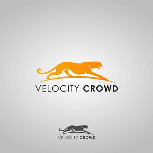 Velocity Crowd