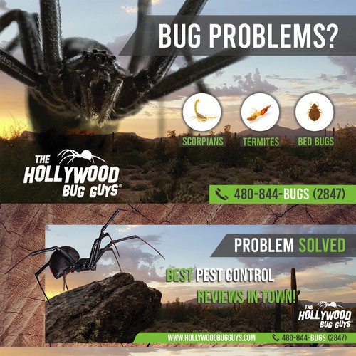 The hollywood bug guys