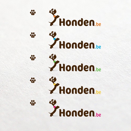 bold concept for pets store