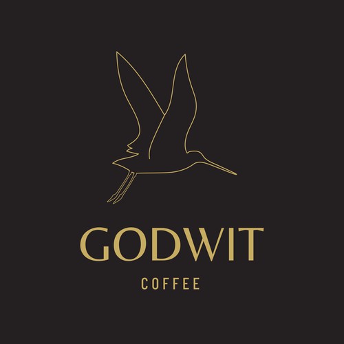 Godwit