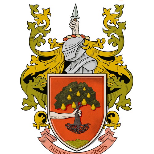 Irish family coat of arms