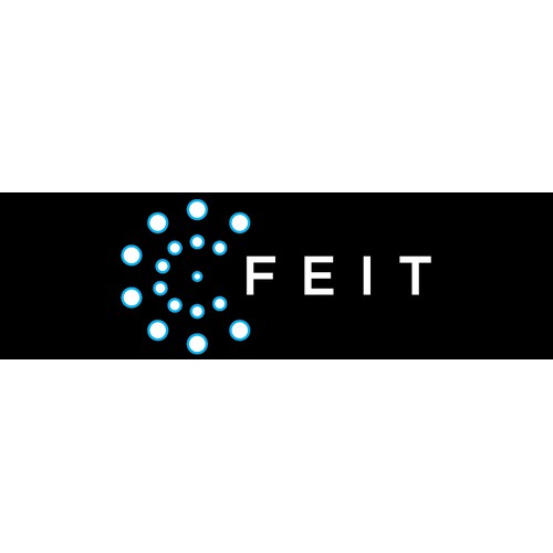 Feit Electric Logo Design
