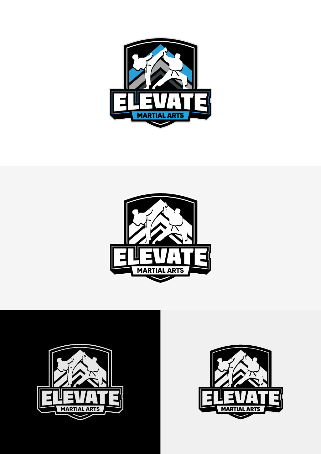 Martial Arts Academy Needs New Logo and Brand!!