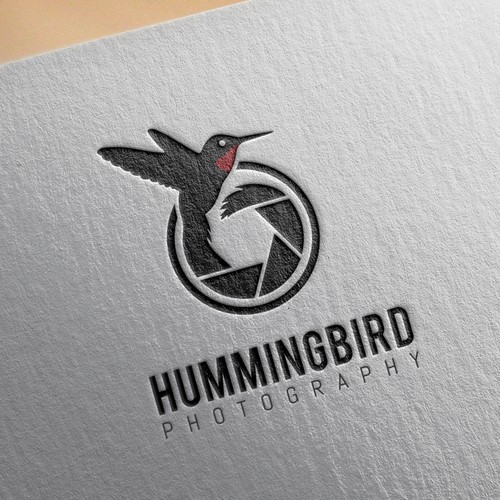 hummingbird photography