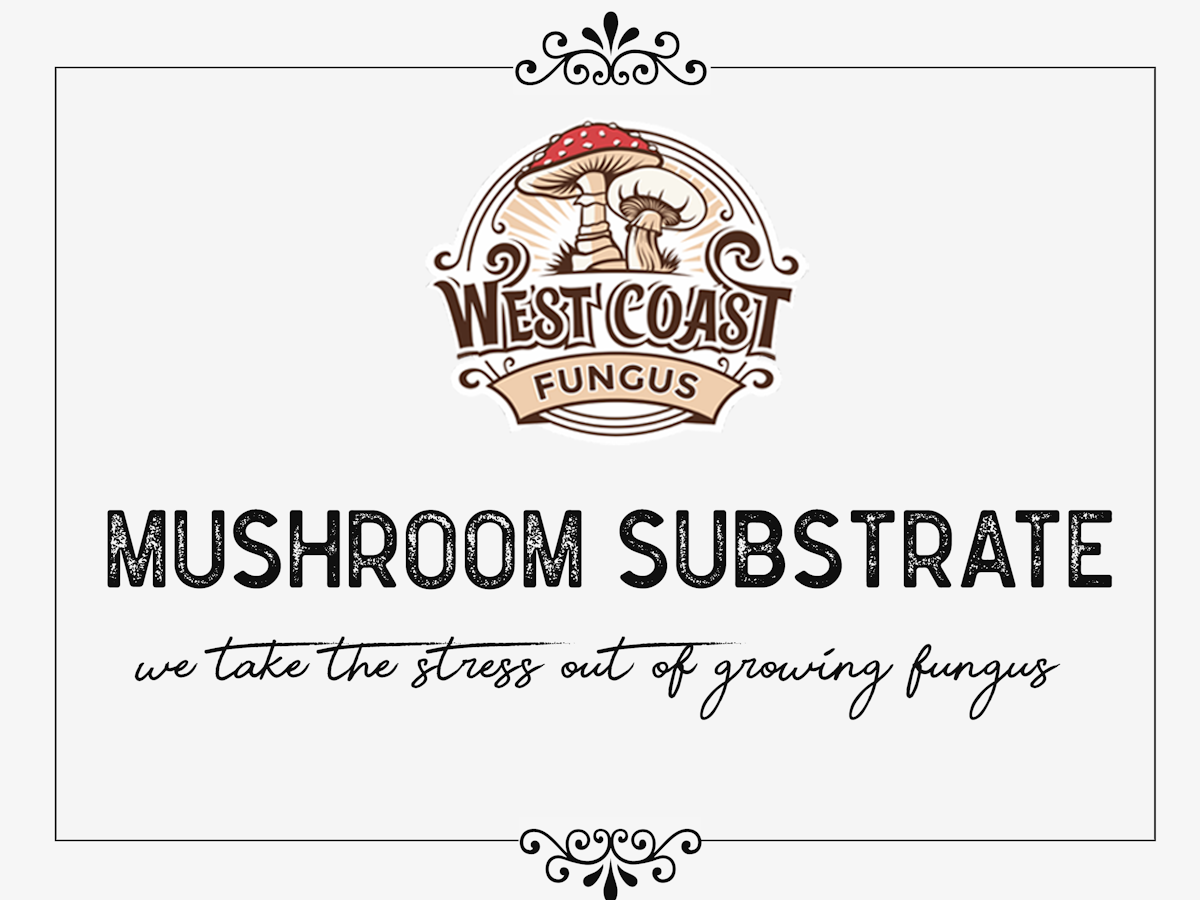 Fungus Company needs a box that can be used as for shelf space and shipping.