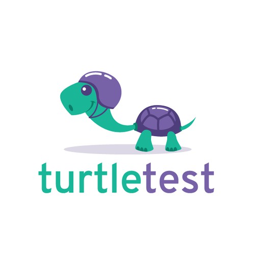 Turtle Test