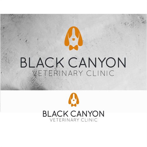 Logo Concept for a veterinary clinic