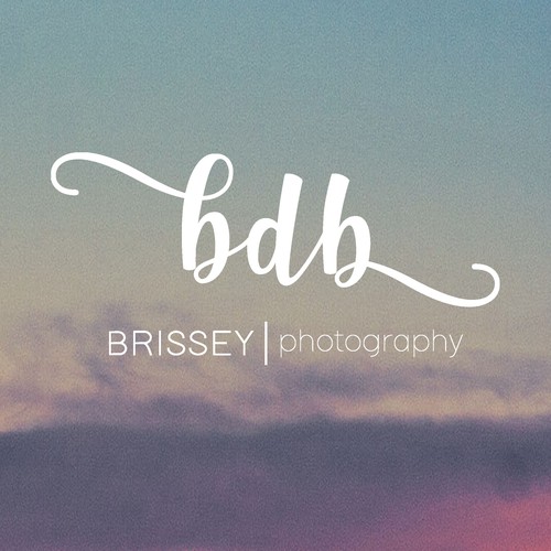 Elegant logo for two photographers