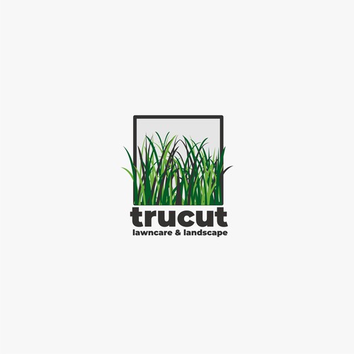 TruCut Logo Concept