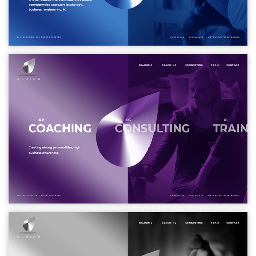 Wordpress theme for TOP LEVEL CONSULTING COMPANY