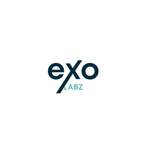 Minimal logotype / wordmark for Exo Labz