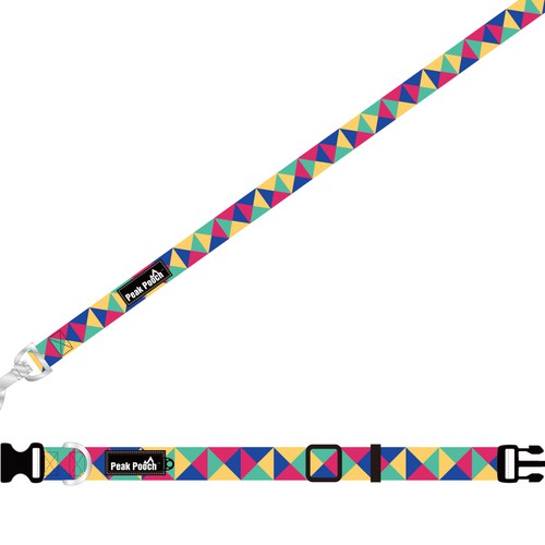 Modern Dog Leash/Collar Design