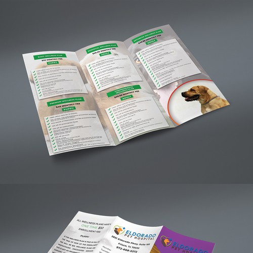 Trifold Brochure Design