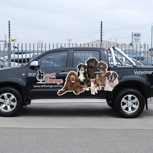 Wrap veterinary clinics car