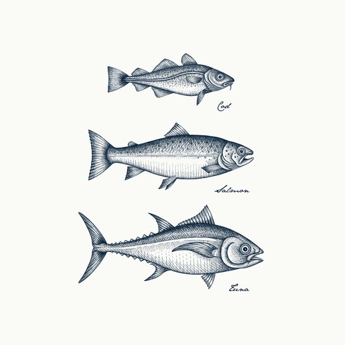 Cod • Salmon • Tuna