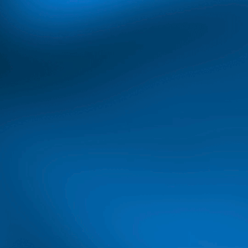 Crypto custom website design + professional animation work