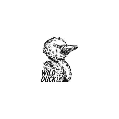 wild duck