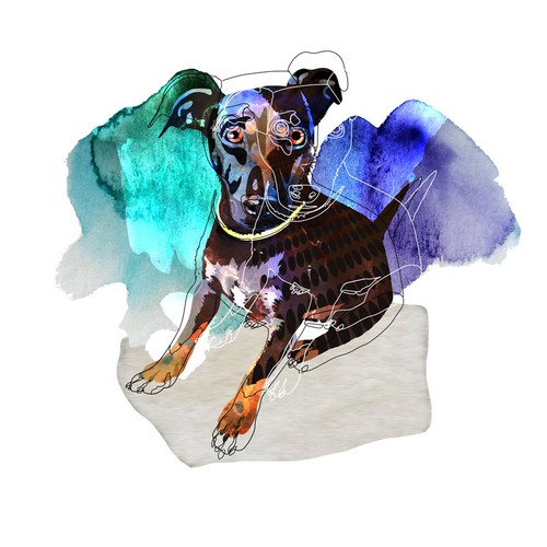 Dara, the Dog