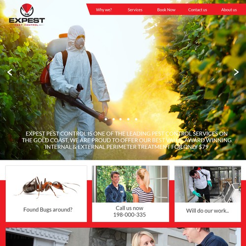 Expert Pest Web concept