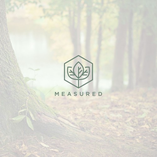 Simple linear logo