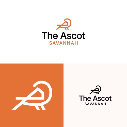 The Ascot - Concept
