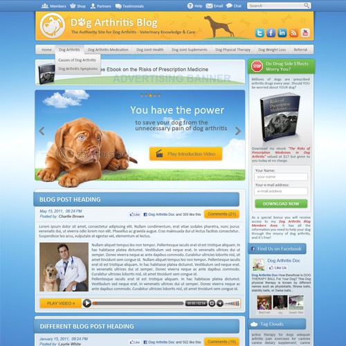 Dog Arthritis Wordpress Theme