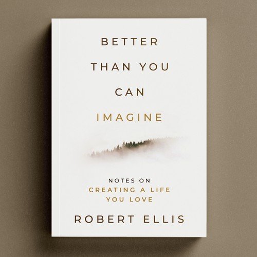Better Than You Can Imagine Book Cover