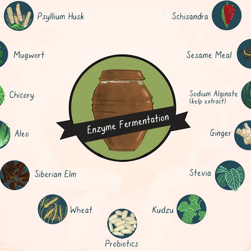 Create simple and informative illustrations of healing herbs thatchange lives