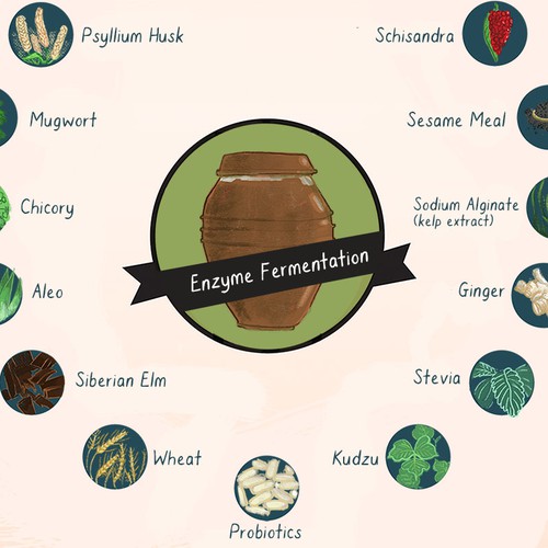 Create simple and informative illustrations of healing herbs thatchange lives