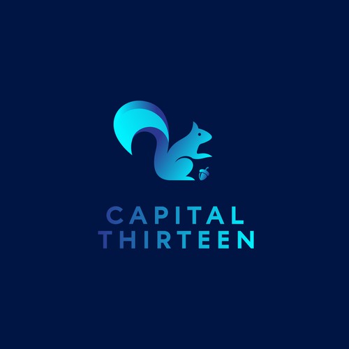 Capital Thirteen