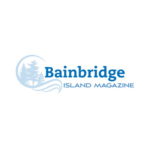 Bainbridge Island Waves