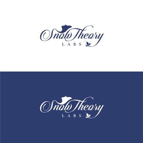 Logo Concept for Snow Theory Labs