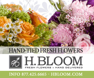 H.BLOOM Display Campaign