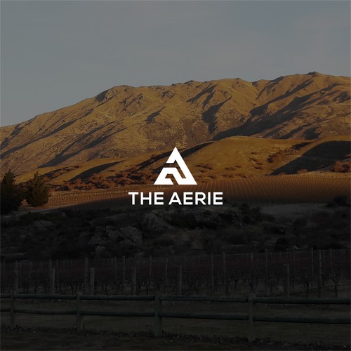 the aerie company