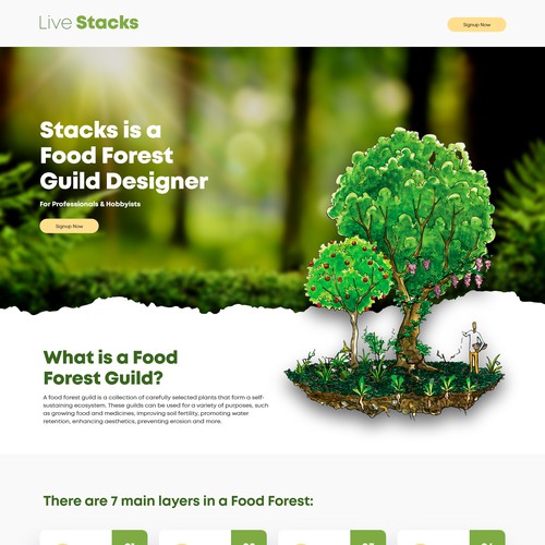 Agriculture Landing Page Design