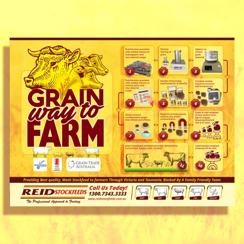 Grain Flow Infographic