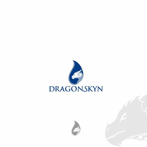 Dragon Skyn Logo Concept