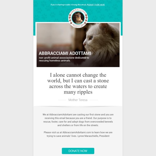 Help Animal Non-Profit launch first email template
