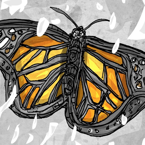 Winter butterflies